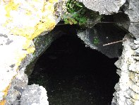 otta Intraleo-20100515 052